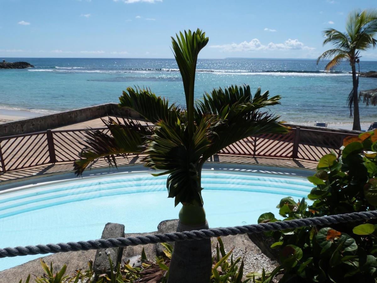 Studio Vue Mer Piscine Plage Kaz Punch Manganao Chez Julie Saint-Francois  Exterior foto