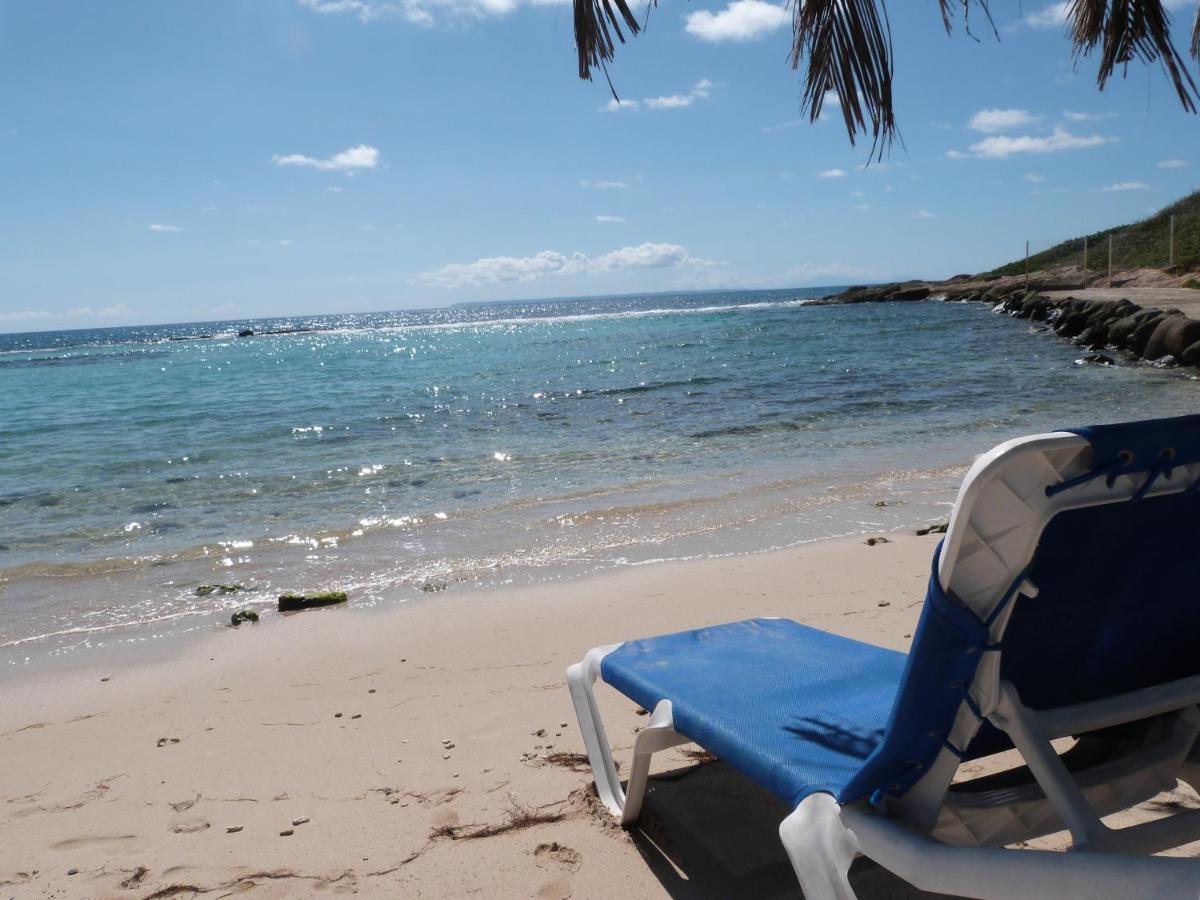 Studio Vue Mer Piscine Plage Kaz Punch Manganao Chez Julie Saint-Francois  Exterior foto
