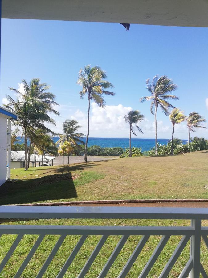 Studio Vue Mer Piscine Plage Kaz Punch Manganao Chez Julie Saint-Francois  Exterior foto