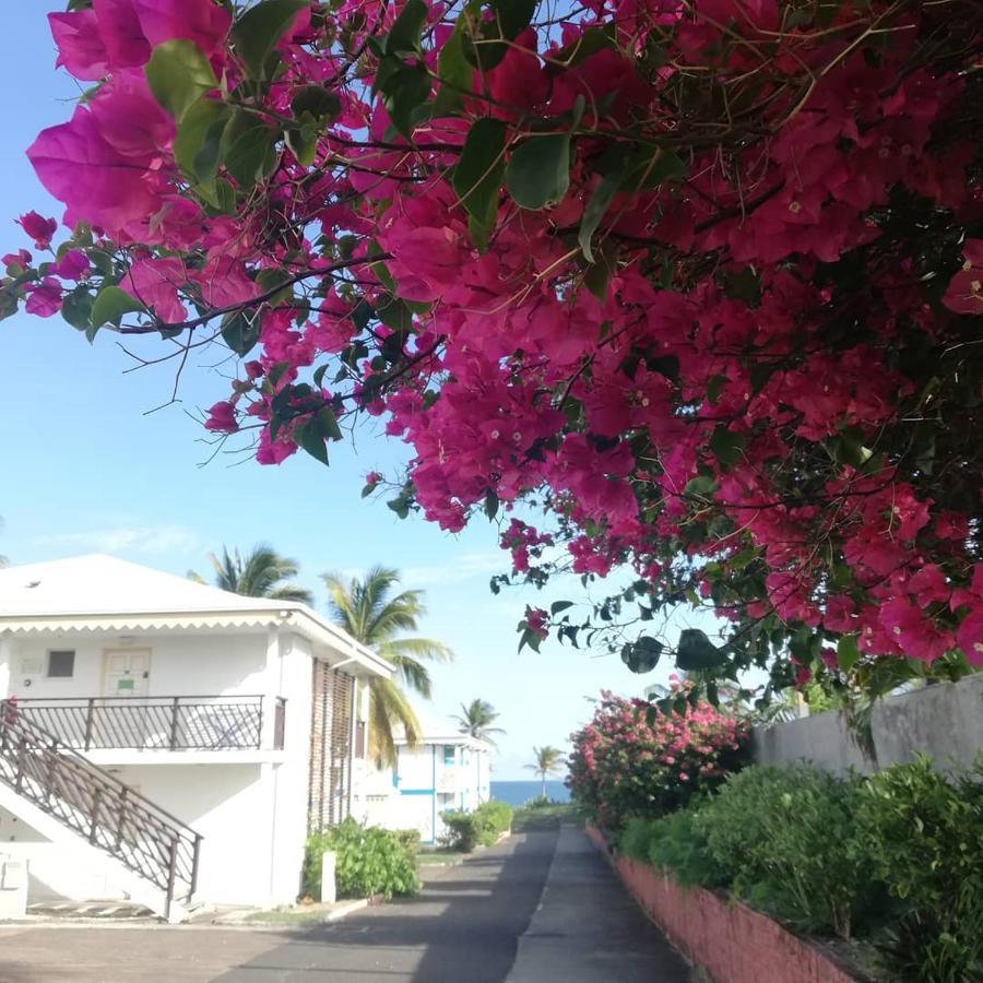 Studio Vue Mer Piscine Plage Kaz Punch Manganao Chez Julie Saint-Francois  Exterior foto