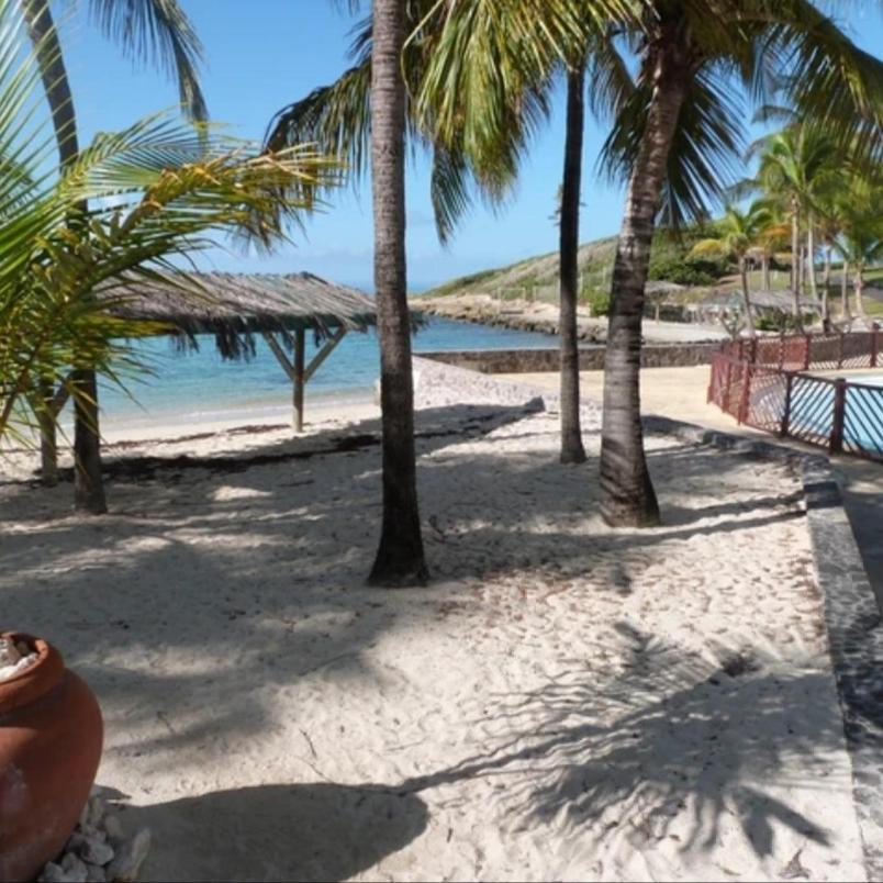 Studio Vue Mer Piscine Plage Kaz Punch Manganao Chez Julie Saint-Francois  Exterior foto